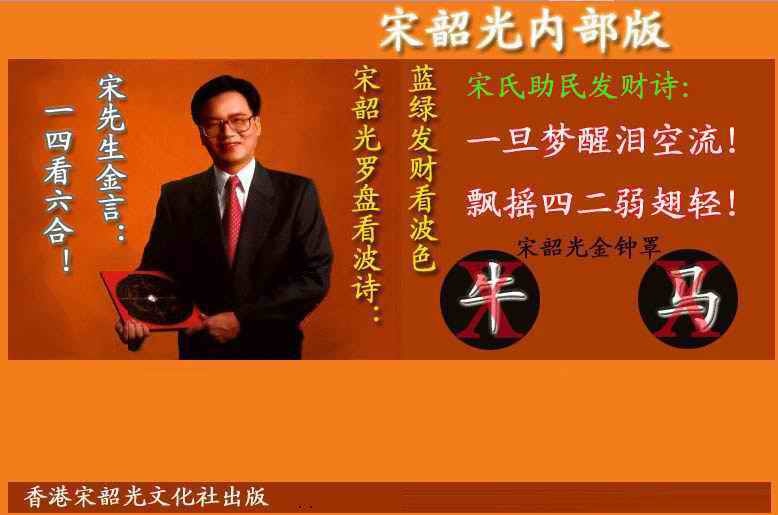 031期宋韶光内部版(另版)[图]